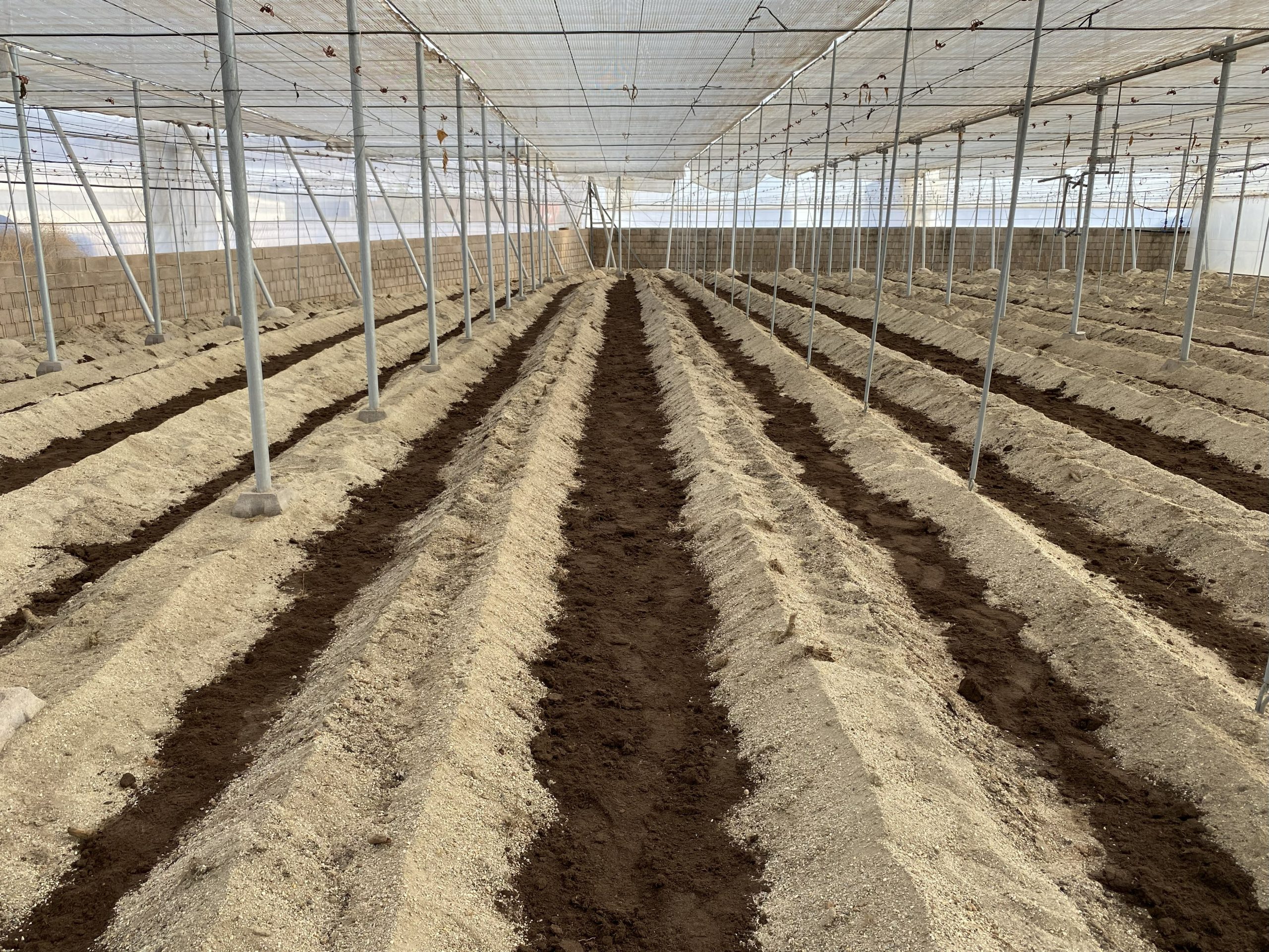 PREPARACIÓN DEL SUELO PARA EL CULTIVO DE HORTALIZAS, BAJO UN ENFOQUE ECOLÓGICO