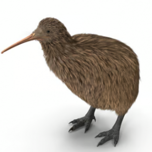 Foto de perfil de Manuel